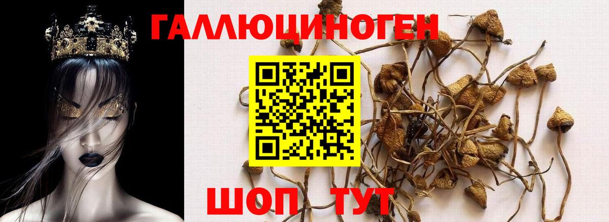 Псилоцибиновые грибы Magic Shrooms  Вход с VPN  Свободный 